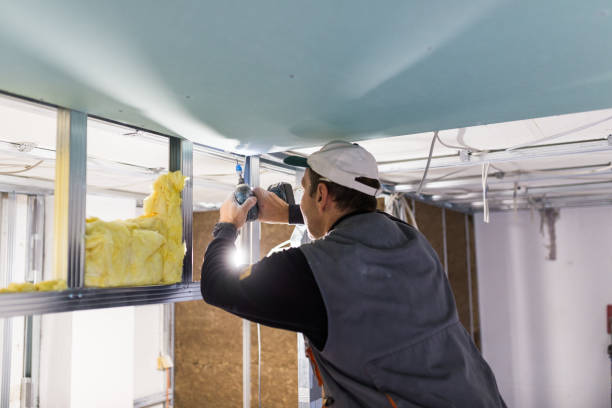 Best Commercial Insulation in Crystal Falls, MI